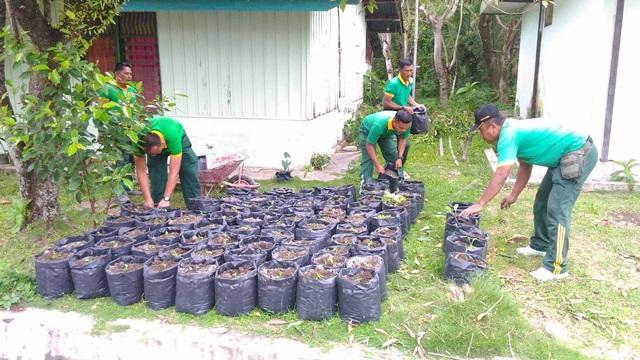 Kodim 0311/Pessel Upaya Tanam Cabai Sendiri dengan Polybag