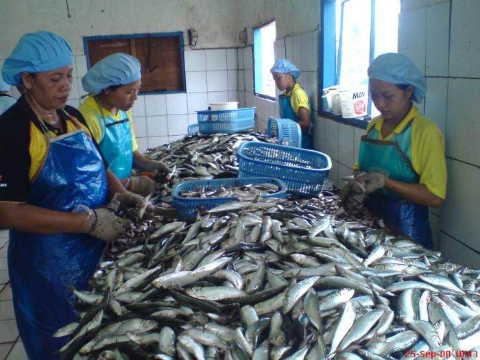 Inilah Rencana Aksi Percepatan Pembangunan Industri Perikanan Nasional