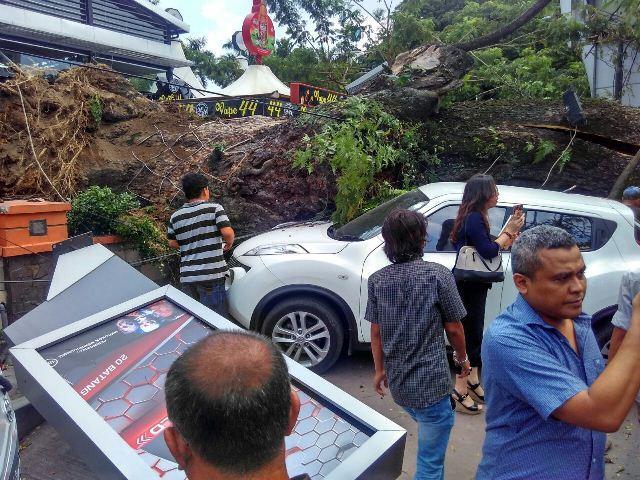 Pemko Medan Akan Lakukan Penataan Pohon di Lapangan Merdeka dengan Hole Block