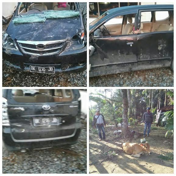 Pencuri Lembu di Langkat Diamankan Polisi Setelah Dihakimi Massa