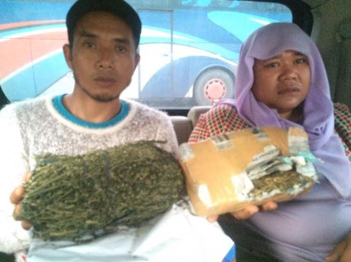 Bawa Ganja, Pasutri Penumpang Bus Pelangi Diamankan Polres Langkat