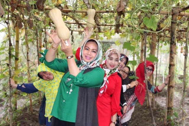 Banyak Manfaat, Evi Diana Ajak PKK Kab/Kota Galakkan Tanaman Pekarangan