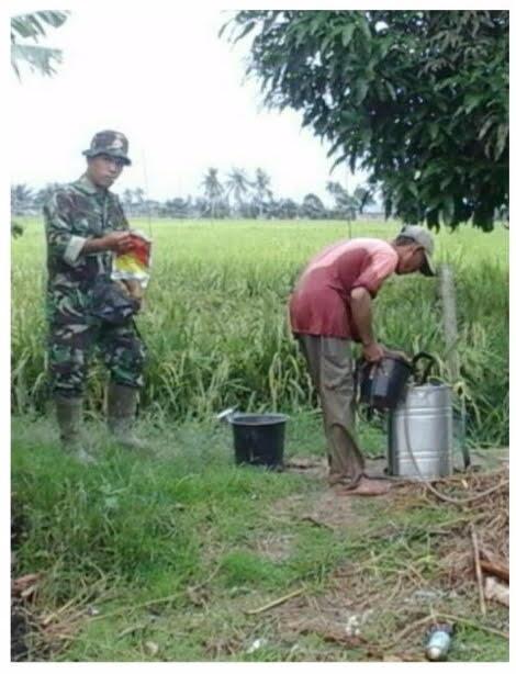 Babinsa Korammil 10/Sei Kepayang Lakukan Pendampingan kepada Petani