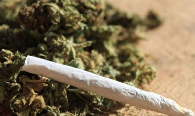 Peredaran Ganja di Tebing Tinggi Dibongkar BNNP Sumut 