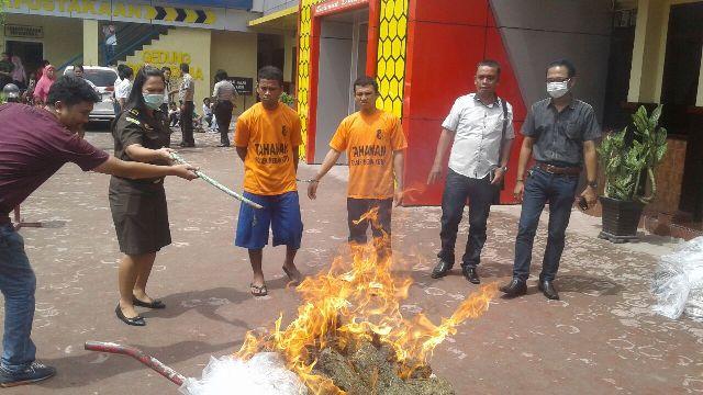 Barang Bukti 73,5 Kg Ganja Dimusnahkan Polsek Medan Kota
