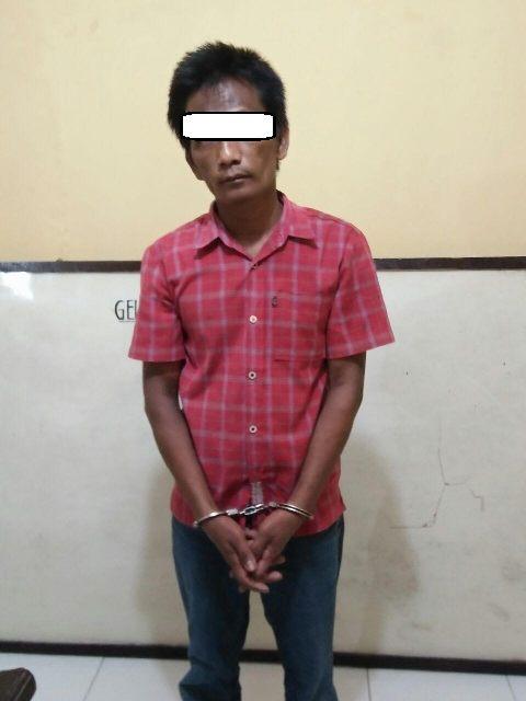 Rekap Judi Hongkong, Ambarita Digelandang ke Polsek Aek Natas Labuhanbatu