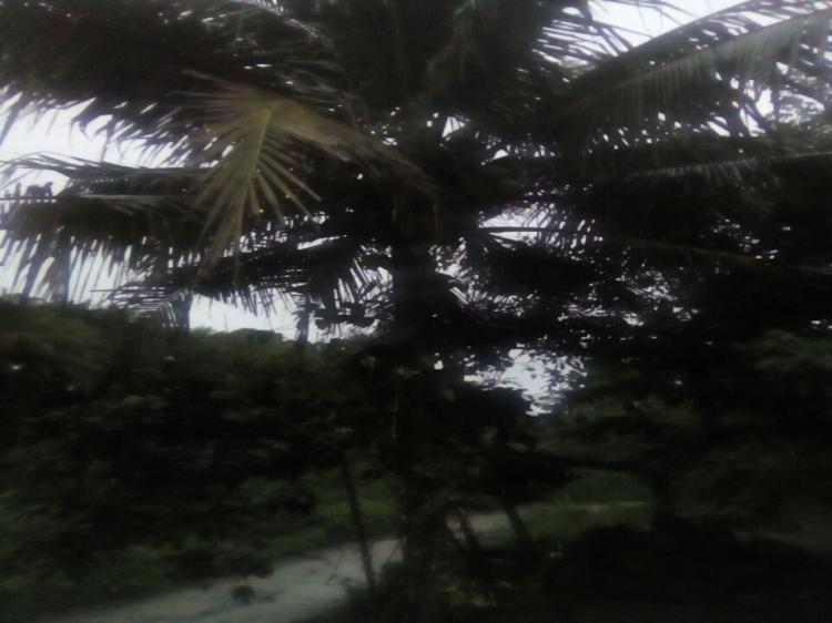 Warga Titi Papan Tewas Tersengat Listrik di Simalungun
