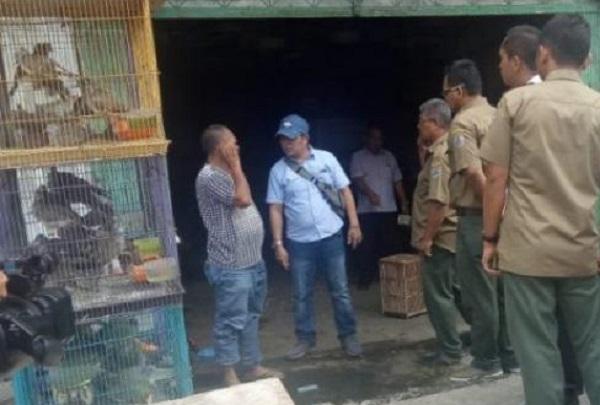 Toko Hewan di Jalan Bintang Medan Dirazia Direskrimsus Polda Sumut dan BKSDA 