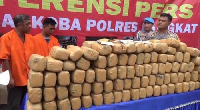 Mertua dan Menantu Angkut Ganja Seberat 220 Kg dari Aceh ke Jabar