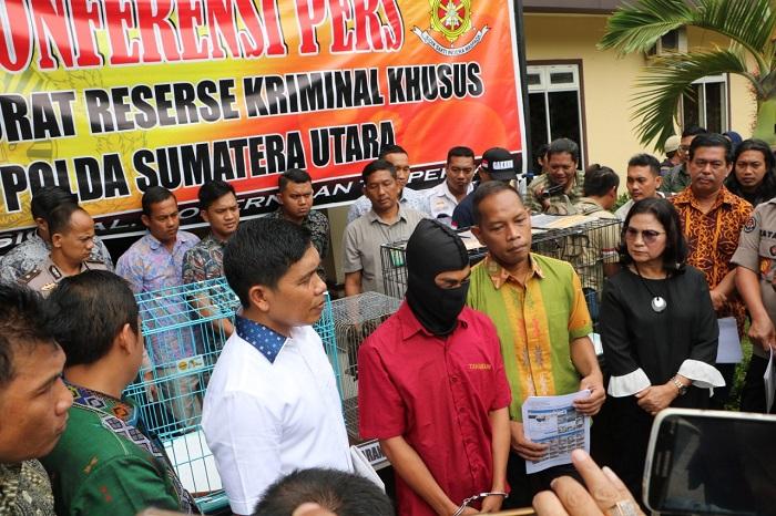 Jual Satwa Dilindungi via Facebook, Arbain Dicokok Polisi di Hamparan Perak
