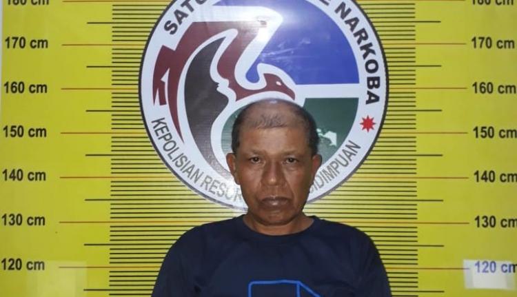 Kakek Usia 55 Tahun Edarkan Narkoba, Polisi Amankan 1 Kg Ganja dari Pelaku