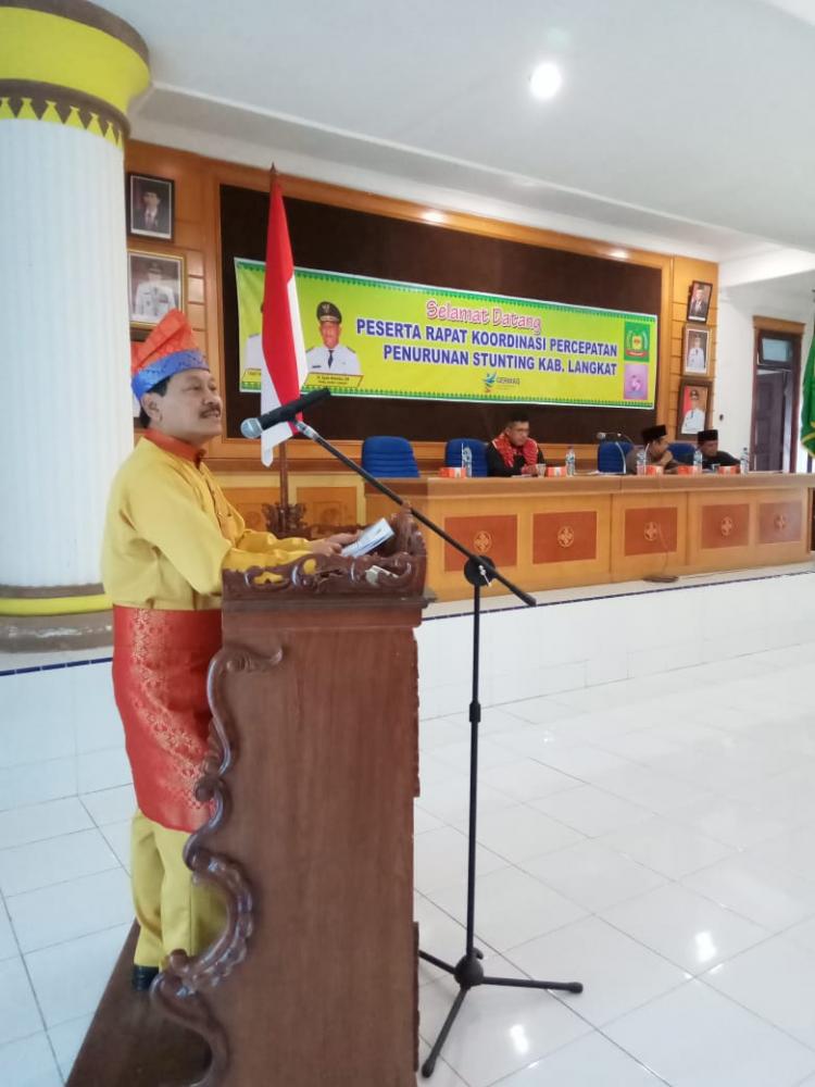 Bupati Langkat Mengajak Keterlibatan Stakeholder Cegah Stunting