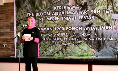 Ketua Dewan Rempah Nawal Lubis Apresiasi Penanaman 1.200 Pohon Andaliman di Karo