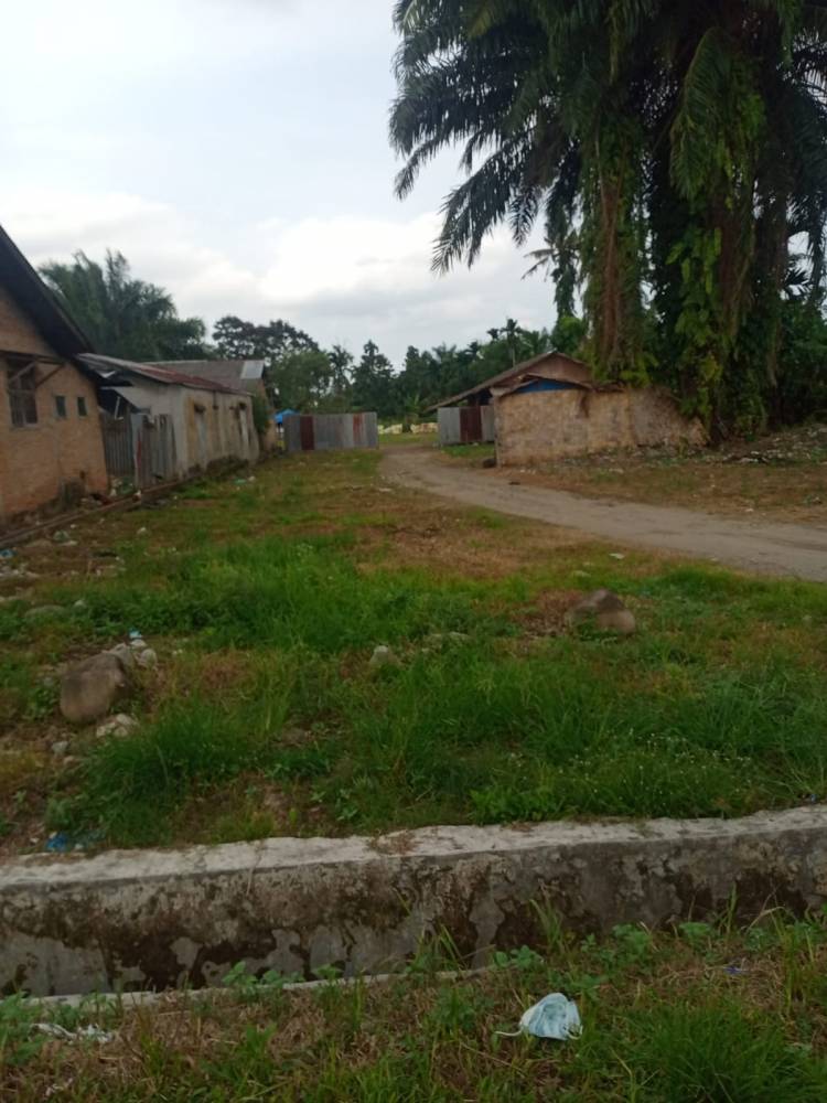  Masih Beroperasi, Warga Desak Polisi Tutup Judi Dadu Putar di Tuntungan