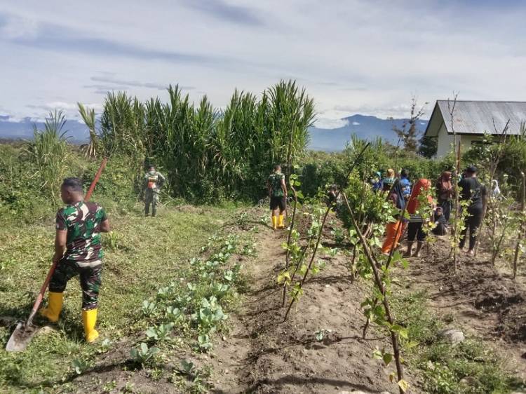 Satgas Kodim Yalimo Yonif RK 751/VJS Karya Bakti Bersama Para Santri, Sulap Lahan Kosong Jadi Kebun Sayur