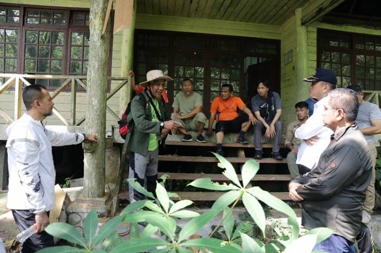 Musa Rajekshah Segera Aktifkan Rehabilitasi dan Feeding Orang Utan di Bukit Lawang