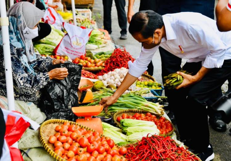Presiden Jokowi Jadi Presiden Kedua Kunjungi Pagar Alam