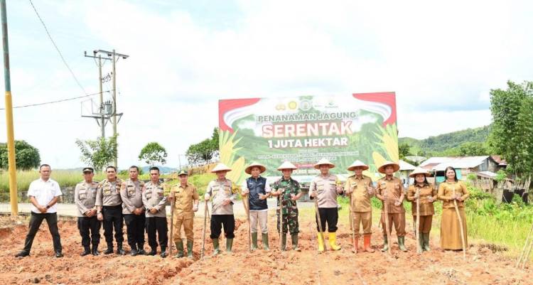 Pemko Sibolga Hadiri Penanaman Jagung Serentak 1 Juta Hektar