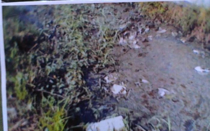 Pabrik Tahu Kampung Kolam Resahkan Warga