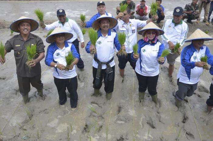 Pemprovsu Alokasikan Rp13 Miliar Lebih untuk Kembangkan Tanaman Pangan dan Hortikultura