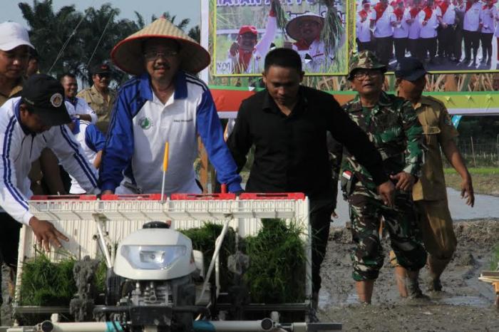 Tanam Padi di Simalungun dan Batubara, Gubsu Berharap Sumut Bisa Tingkatkan Swasembada Beras