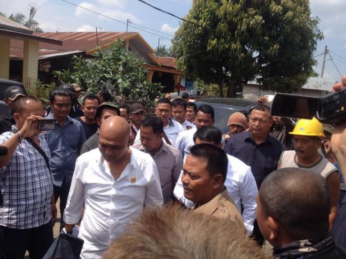 Penertiban Ternak Babi di Desa Tandem Hilir Nyaris Ricuh