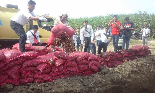 Polres Langkat Musnahkan 132 Karung Bawang Merah Ilegal 