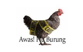 Menkes Belum Sikapi Wabah Flu Burung China