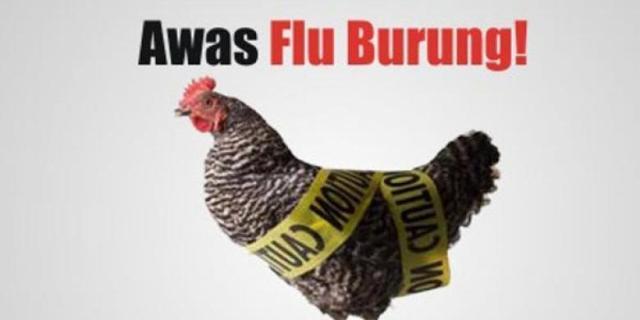 Dilanda Flu Burung, Dinkes Sumut Imbau Wisatawan Jangan Dulu Berkunjung ke China