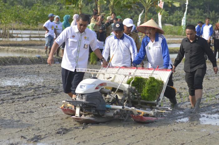 Gubernur Sumut Dorong Batubara Tingkatkan Produksi Beras, Cabai dan Bawang Merah