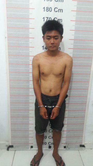 Sedang Asyik di Bawah Pohon Sawit, Kok Cuy Diamankan Polsek Kuala Langkat