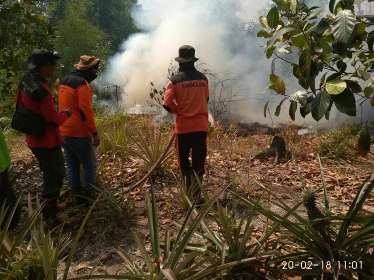 Empat Provinsi Siaga Darurat Kebakaran Hutan dan Lahan