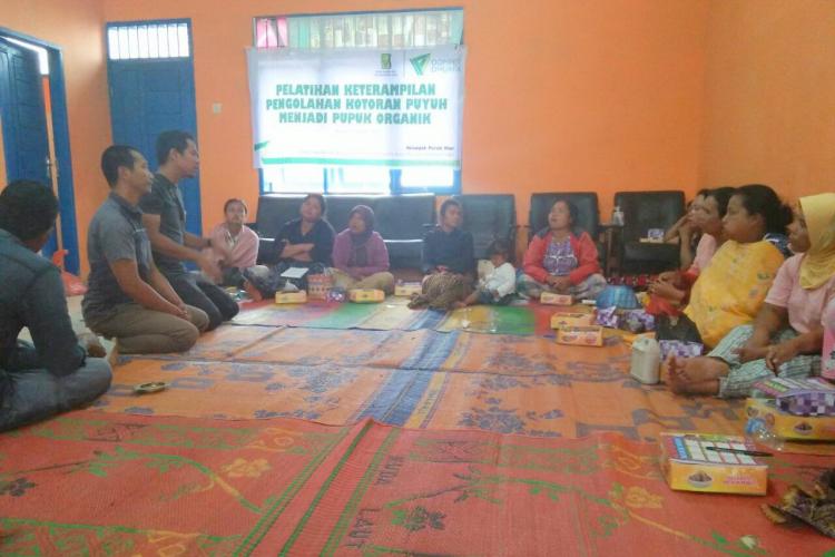 Masyarakat Siosar Kelola Kotoran Puyuh Jadi Pupuk Organik 
