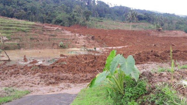 Longsor di Brebes Telan 5 Korban Tewas, 15 Hilang dan 14 Selamat