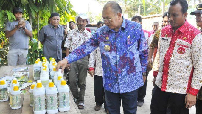 Bupati Sergai Sosialisasi Pengembangan Beras Organik 