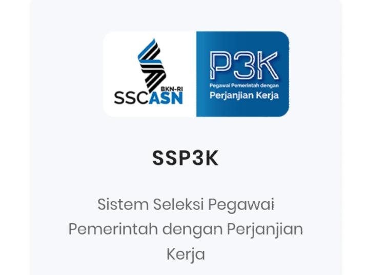 Dua Hari Dibuka, Akun Pendaftar PPPK Capai Puluhan Ribu Peserta