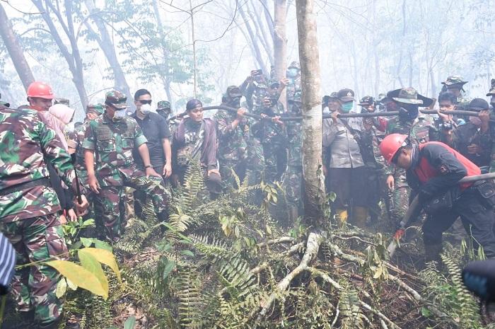 Panglima TNI Pantau Karhutla di Pulau Rupat