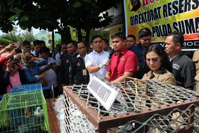 Miliki 16 Satwa Dilindungi, Poldasu Kejar Pegawai Tirtanadi Belawan