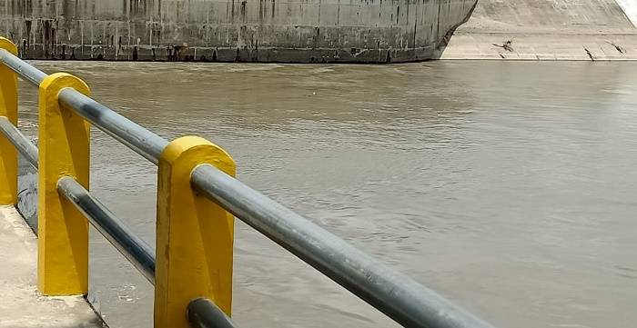 Banyak Ikan 'Mabuk' di Sungai Wampu, Ini Penjelasan Kadis LH Lingkungan Hidup Langkat