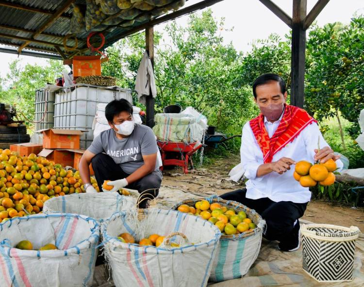  Presiden Jokowi Tegaskan Pentingnya Infrastruktur Jalan untuk Tunjang Kegiatan Produksi