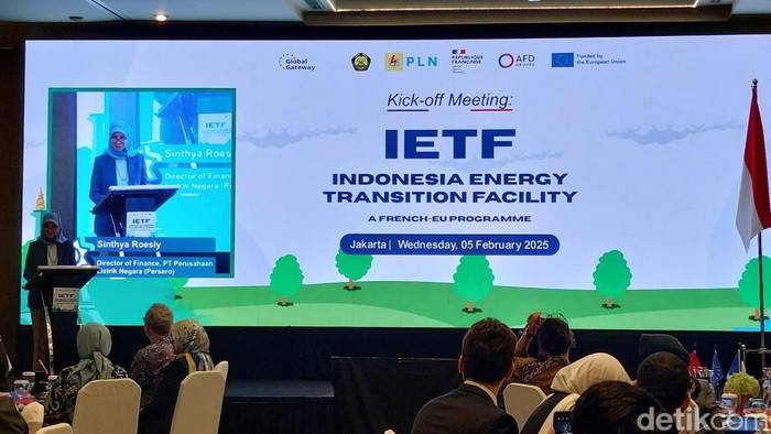 RI Dapat Hibah Rp 248 M dari Uni Eropa dan Prancis buat Geber Transisi Energi