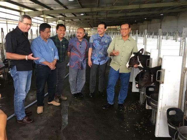 Keberhasilan Greenfields dalam Manajemen Peternakan Sapi Perah Terintegrasi Dipuji Malaysia