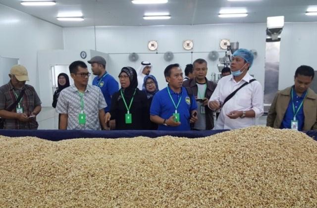 Seleksi Perusahaan Katering Jemaah Haji Masuki Tahap Penyerahan Berkas Penawaran