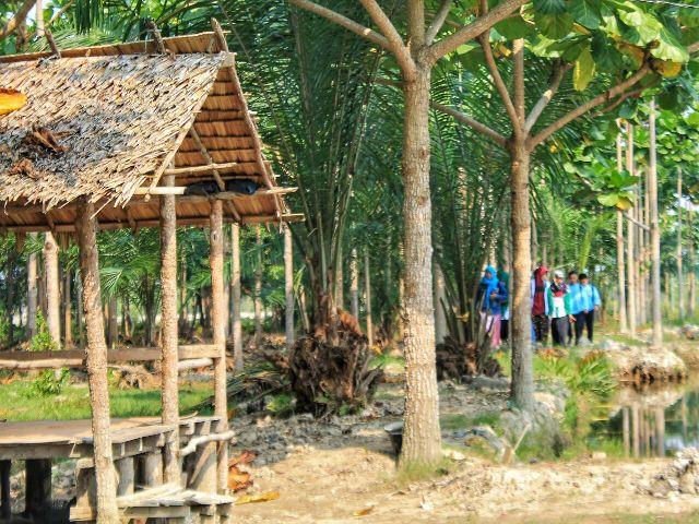 Yayasan Budaya Hijau Indonesia Eksplorasi Hutan Birah-Birah di Bagan Percut