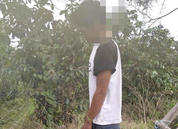 Di Pohon Ndokum Ini, Jul Ginting, Terduga Pembunuh Br Sitepu Gantung Diri 