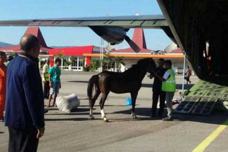 KPK Titipkan Dua Kuda Presiden Jokowi ke Istana Bogor