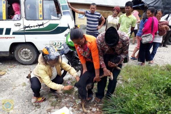 Dinas Pertanian dan Ketahanan Pangan Pemkab Pakpak Bharat Lakukan Vaksinasi Rabies