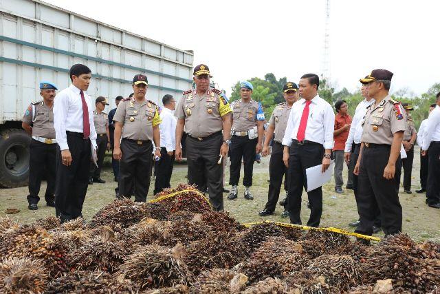 Sindikat Ninja Sawit Diungkap Polda Sumut, 13 Ton Sawit Diamankan