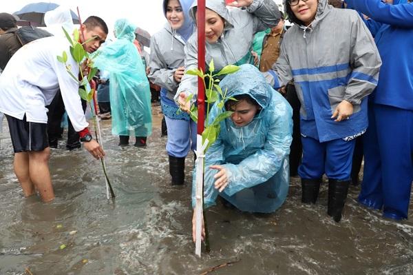 Peduli Terhadap Lingkungan Hidup, Ibu Negara Bersama Ketum Dharma Pertiwi Tanam Mangrove di Pantai Labuan