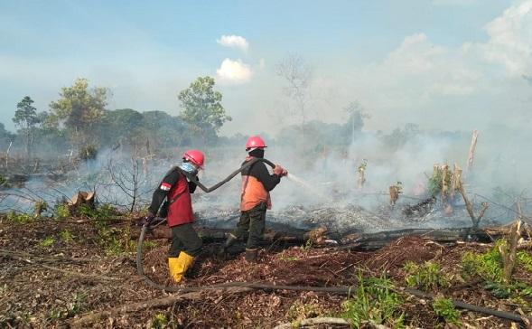 Masuk Musim Kemarau, BNPB Imbau Warga Waspada Karhutla
